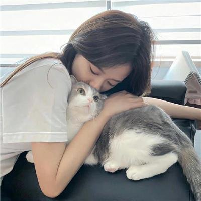 活死喵之夜